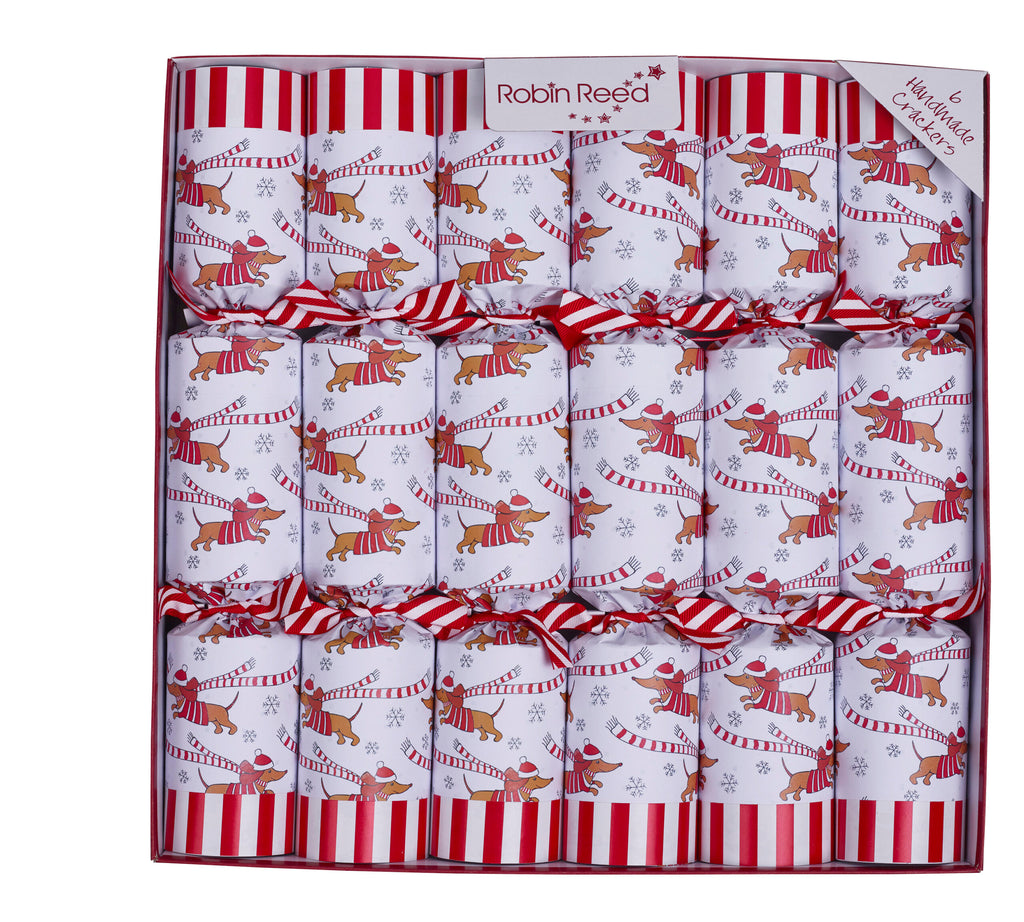 Racing Sausage Dog Crackers x 6