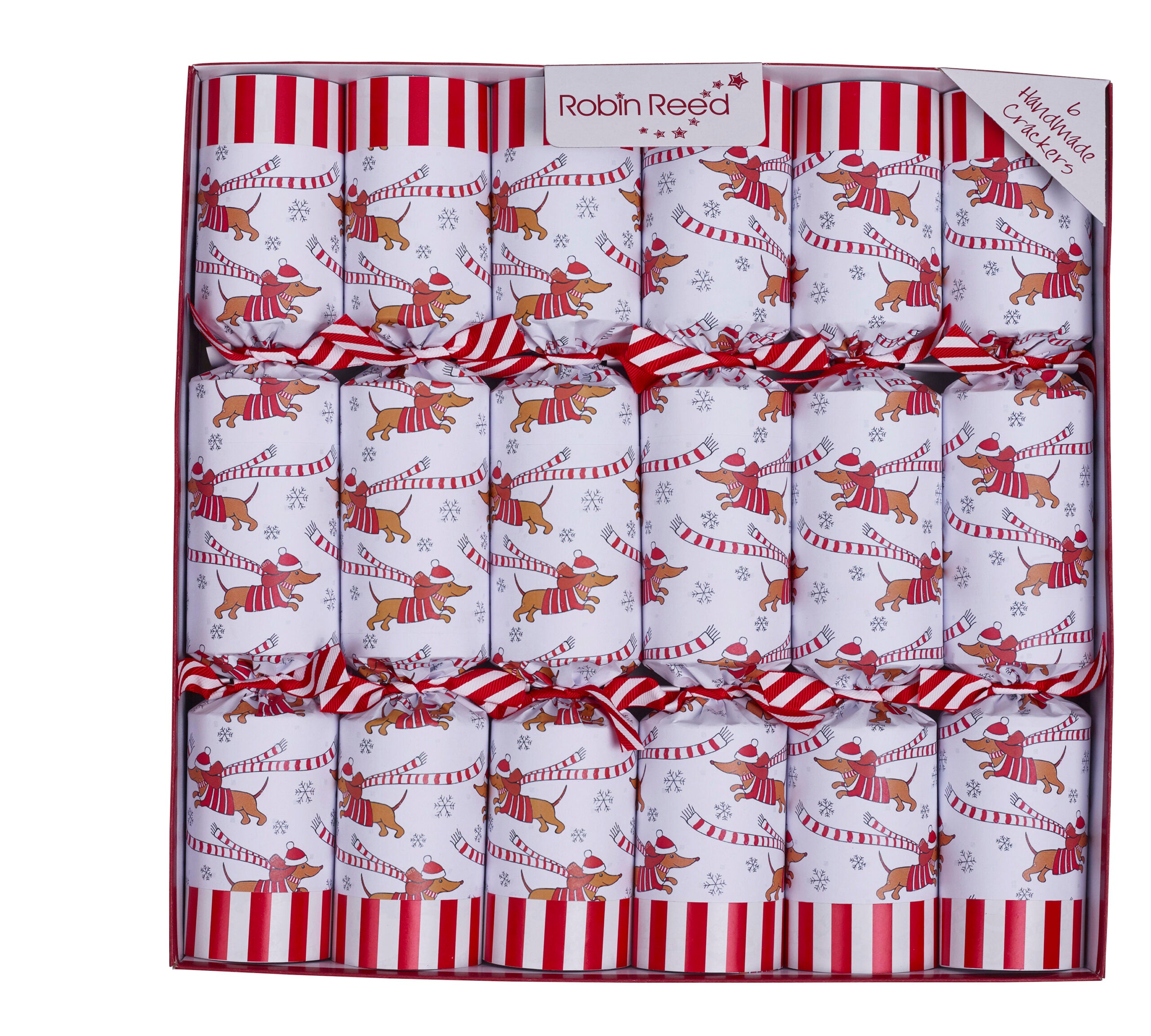 Racing Sausage Dog Crackers x 6