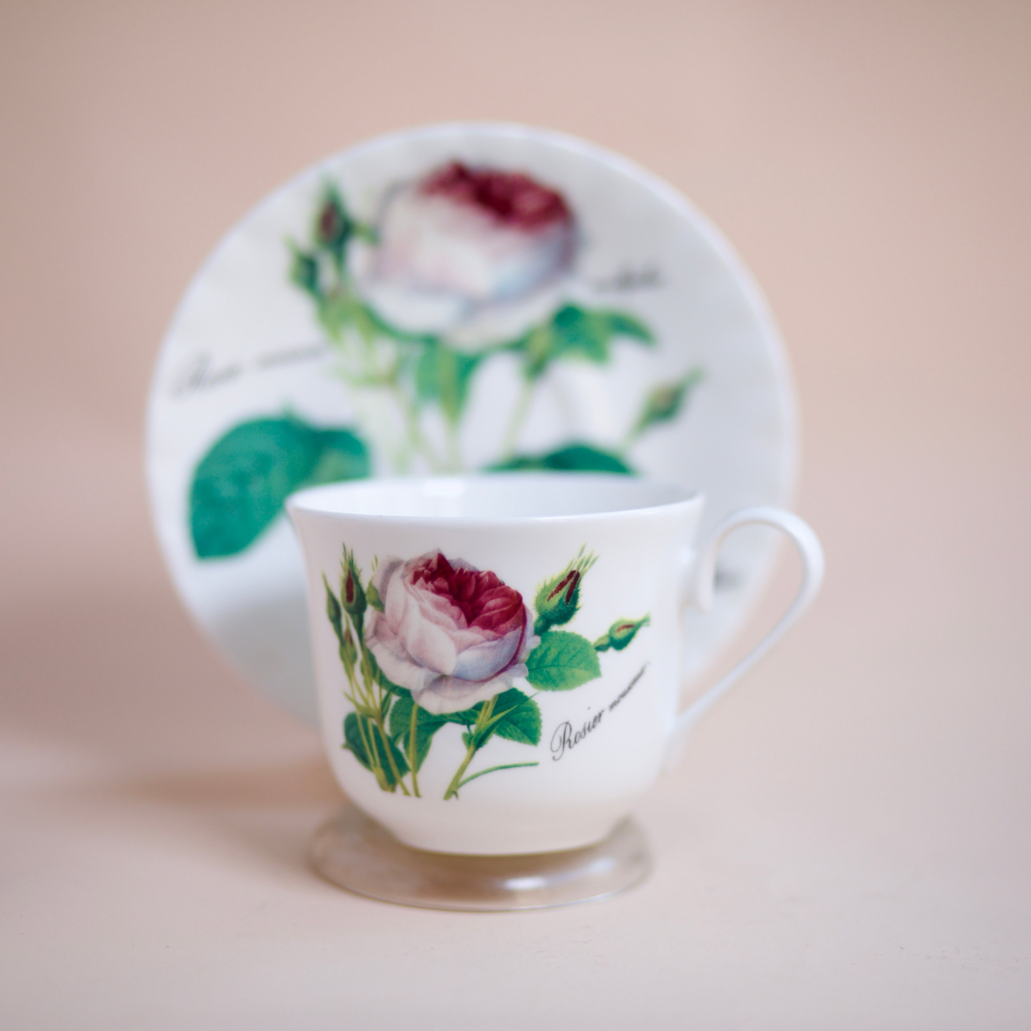 China Teacup & Saucer