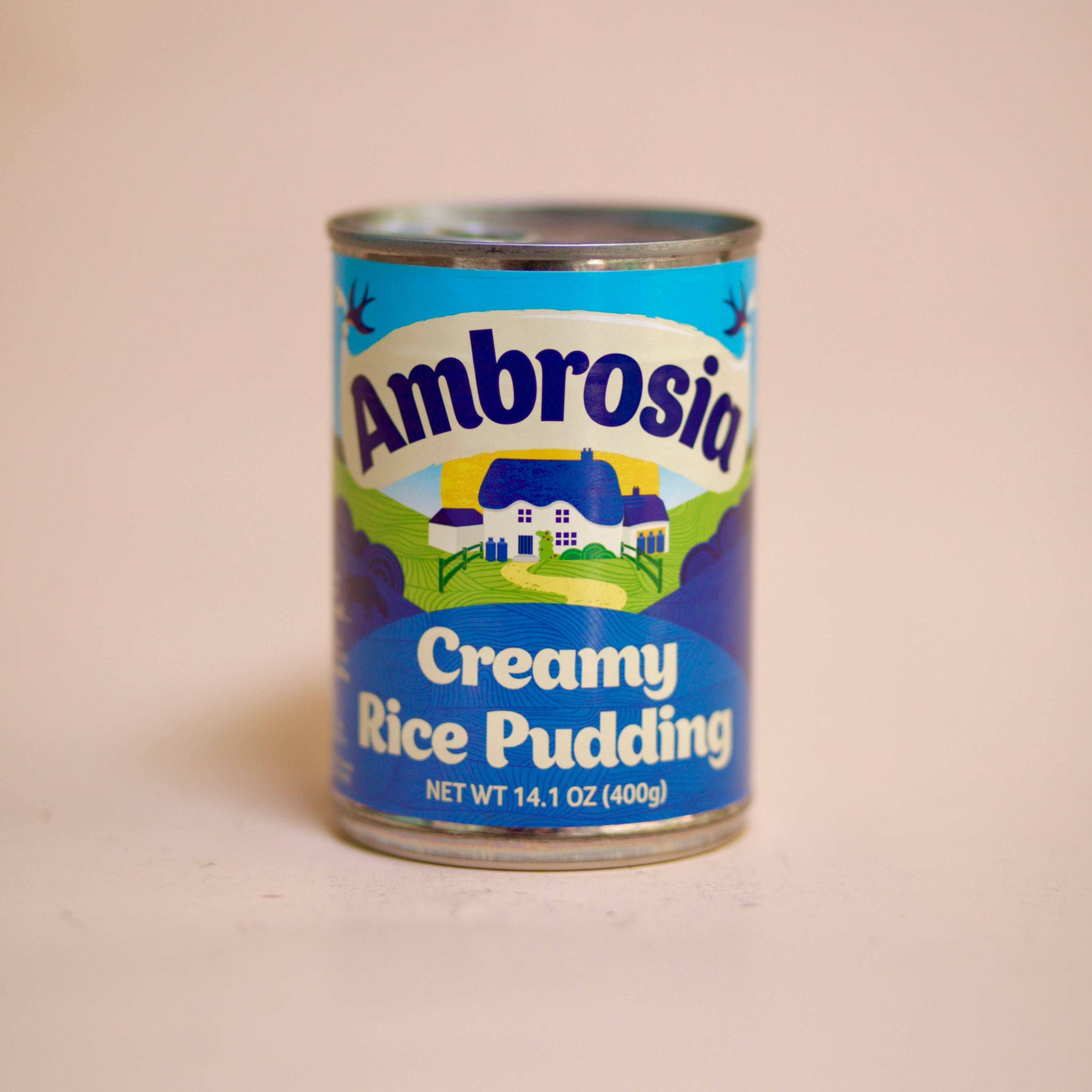 Ambrosia Rice Pudding